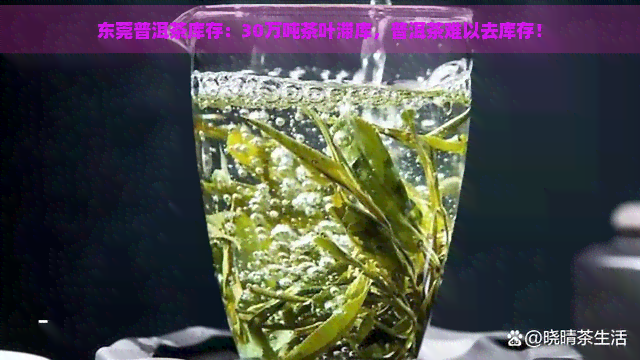 东莞普洱茶库存：30万吨茶叶滞库，普洱茶难以去库存！