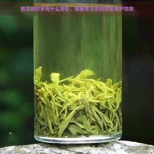 普洱茶对肾有什么好处，揭秘普洱茶的肾脏保护功效