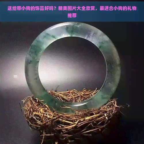 送给带小狗的饰品好吗？精美图片大全欣赏，最适合小狗的礼物推荐