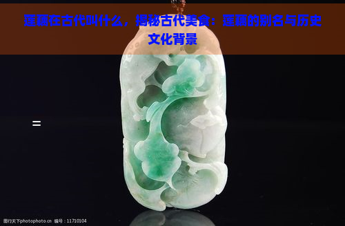 莲藕在古代叫什么，揭秘古代美食：莲藕的别名与历史文化背景