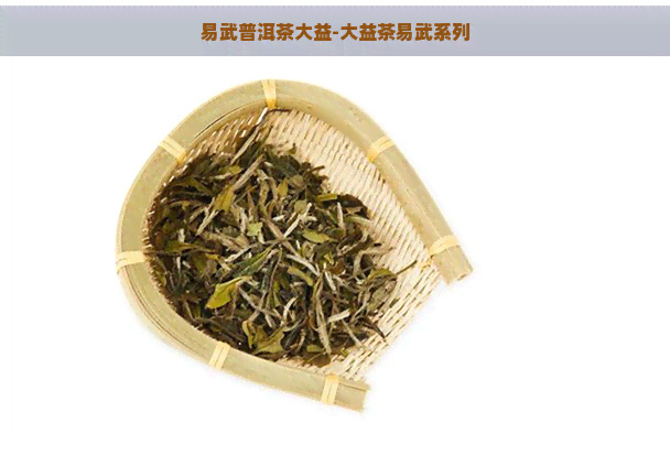 易武普洱茶大益-大益茶易武系列