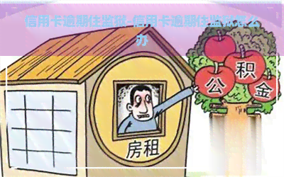 信用卡逾期住监狱-信用卡逾期住监狱怎么办