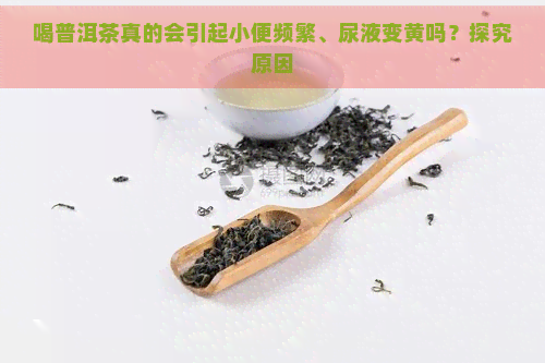 喝普洱茶真的会引起小便频繁、尿液变黄吗？探究原因