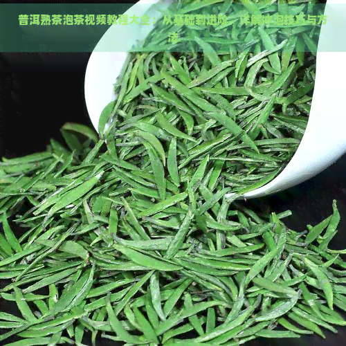 普洱熟茶泡茶视频教程大全：从基础到进阶，详解冲泡技巧与方法