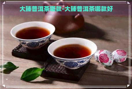 大臻普洱茶哪款-大臻普洱茶哪款好