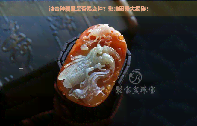 油青种翡翠是否易变种？影响因素大揭秘！