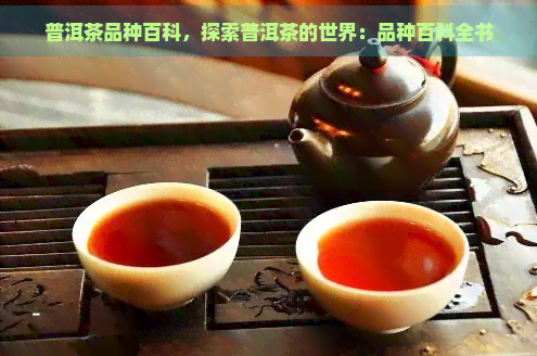 普洱茶品种百科，探索普洱茶的世界：品种百科全书