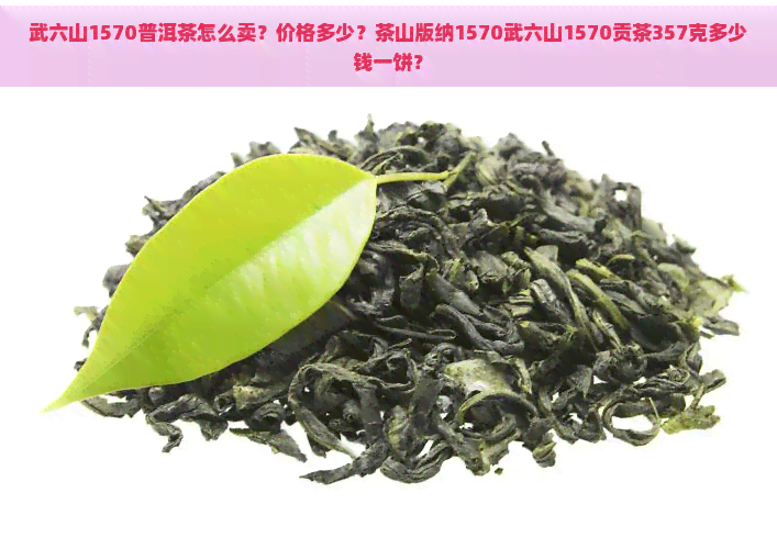 武六山1570普洱茶怎么卖？价格多少？茶山版纳1570武六山1570贡茶357克多少钱一饼？