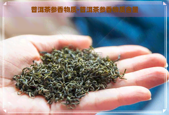 普洱茶参香物质-普洱茶参香物质含量