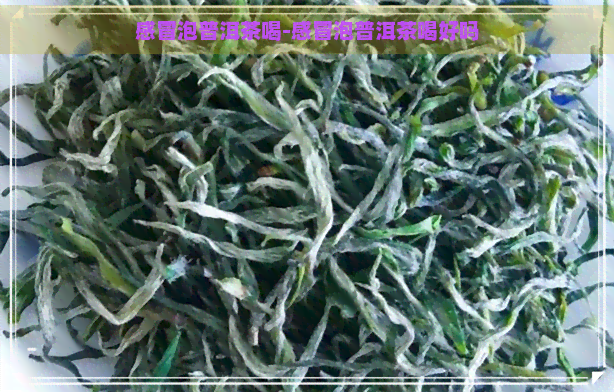 感冒泡普洱茶喝-感冒泡普洱茶喝好吗