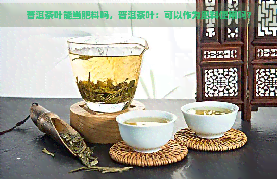 普洱茶叶能当肥料吗，普洱茶叶：可以作为肥料使用吗？