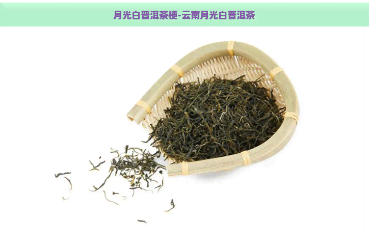 月光白普洱茶梗-云南月光白普洱茶