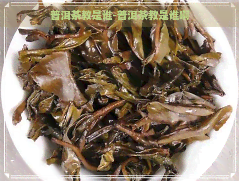 普洱茶教是谁-普洱茶教是谁啊