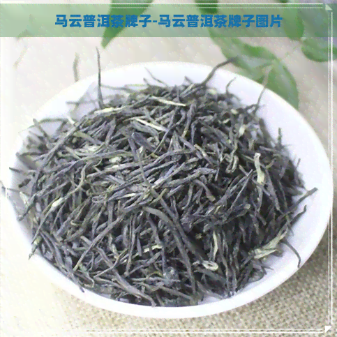 马云普洱茶牌子-马云普洱茶牌子图片