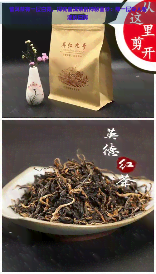 普洱茶有一层白雾，探究普洱茶的神秘面纱：那一层令人着迷的白雾