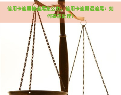 信用卡逾期被追尾怎么办，信用卡逾期遭追尾：如何妥善处理?