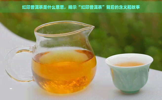 红印普洱茶是什么意思，揭示“红印普洱茶”背后的含义和故事