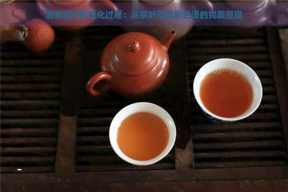 泡普洱茶的变化过程：从茶叶形态到色泽的完美呈现