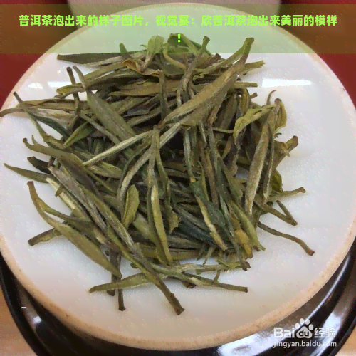 普洱茶泡出来的样子图片，视觉宴：欣普洱茶泡出来美丽的模样！