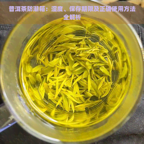 普洱茶防潮箱：湿度、保存期限及正确使用方法全解析