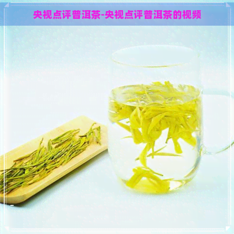 央视点评普洱茶-央视点评普洱茶的视频