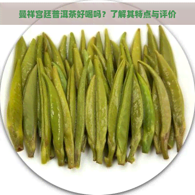 曼祥宫廷普洱茶好喝吗？了解其特点与评价