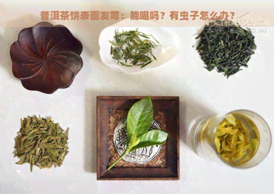 普洱茶饼表面发霉：能喝吗？有虫子怎么办？