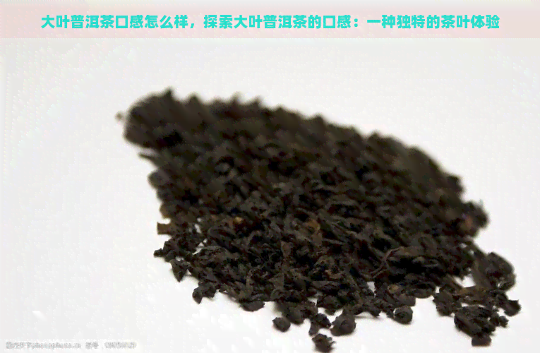 大叶普洱茶口感怎么样，探索大叶普洱茶的口感：一种独特的茶叶体验