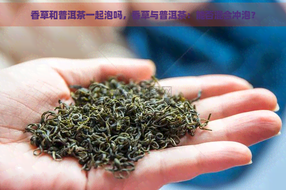 香草和普洱茶一起泡吗，香草与普洱茶：能否混合冲泡？