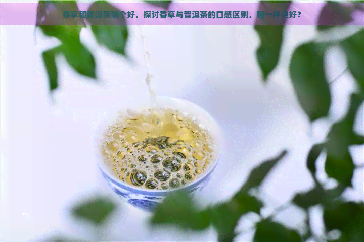 香草和普洱茶哪个好，探讨香草与普洱茶的口感区别，哪一种更好？