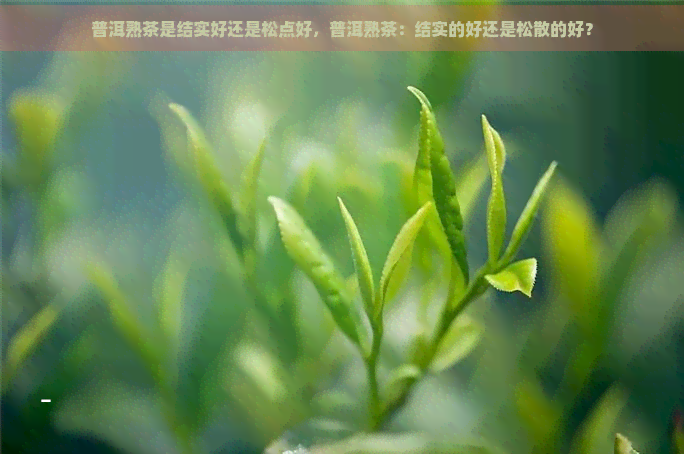 普洱熟茶是结实好还是松点好，普洱熟茶：结实的好还是松散的好？