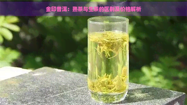 金印普洱：熟茶与生茶的区别及价格解析