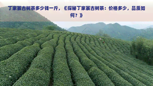 丁家寨古树茶多少钱一斤，《探秘丁家寨古树茶：价格多少，品质如何？》