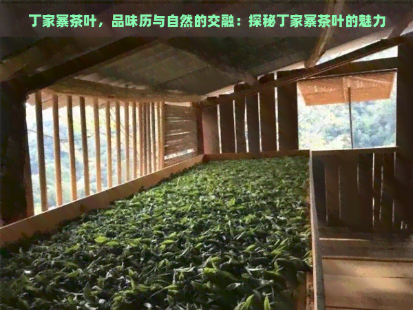 丁家寨茶叶，品味历与自然的交融：探秘丁家寨茶叶的魅力