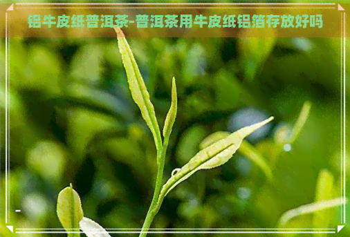 铝牛皮纸普洱茶-普洱茶用牛皮纸铝箔存放好吗