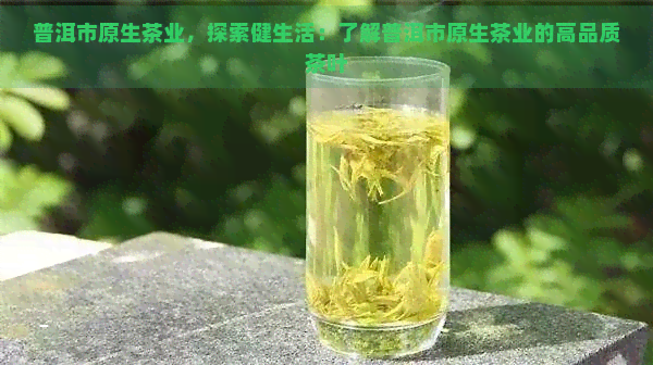 普洱市原生茶业，探索健生活：了解普洱市原生茶业的高品质茶叶