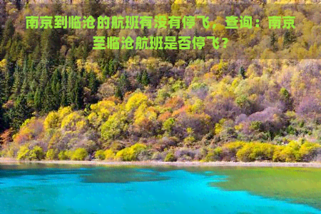 南京到临沧的航班有没有停飞，查询：南京至临沧航班是否停飞？