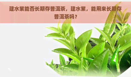 建水紫能否长期存普洱茶，建水紫，能用来长期存普洱茶吗？