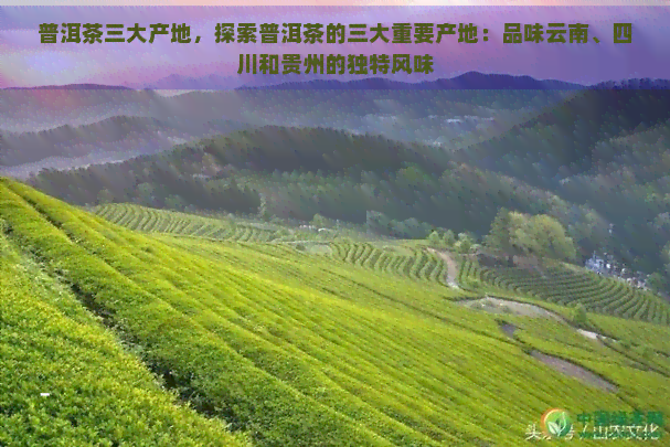 普洱茶三大产地，探索普洱茶的三大重要产地：品味云南、四川和贵州的独特风味