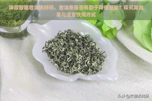 降尿酸喝普洱茶好吗，普洱茶是否有助于降低尿酸？探究其效果与适宜饮用方式