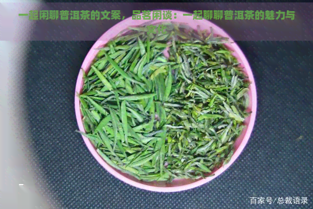 一起闲聊普洱茶的文案，品茗闲谈：一起聊聊普洱茶的魅力与文化