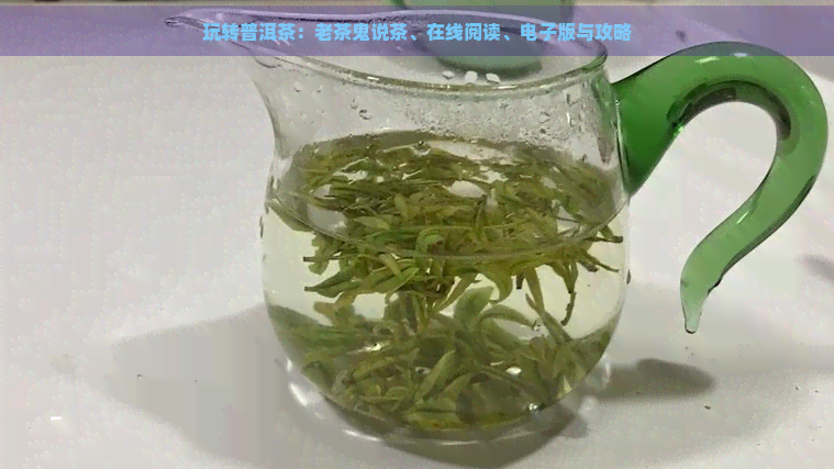 玩转普洱茶：老茶鬼说茶、在线阅读、电子版与攻略