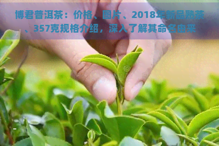 博君普洱茶：价格、图片、2018年新品熟茶、357克规格介绍，深入了解其命名由来