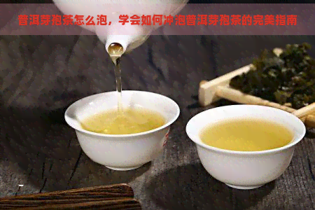 普洱芽孢茶怎么泡，学会如何冲泡普洱芽孢茶的完美指南