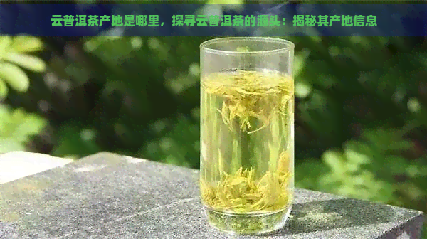 云普洱茶产地是哪里，探寻云普洱茶的源头：揭秘其产地信息