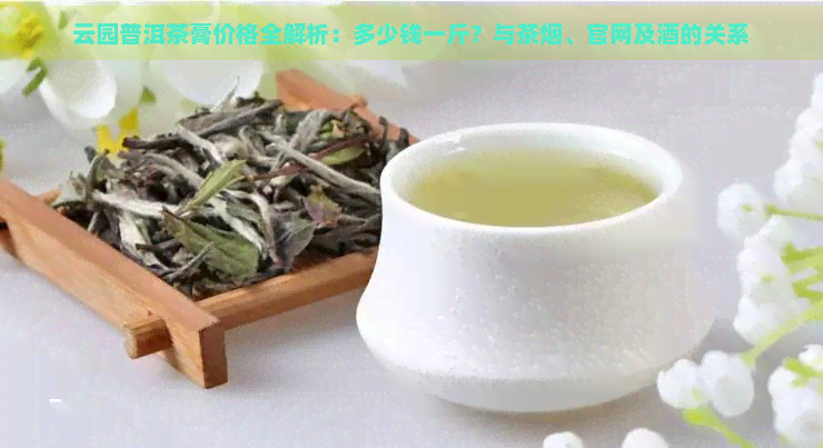 云园普洱茶膏价格全解析：多少钱一斤？与茶烟、官网及酒的关系