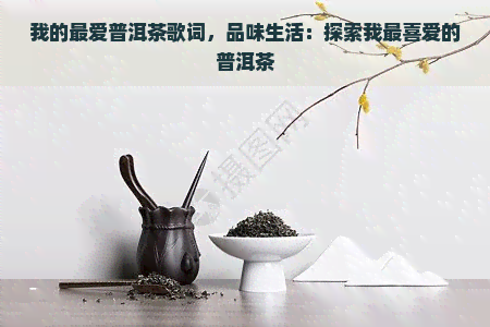 我的更爱普洱茶歌词，品味生活：探索我最喜爱的普洱茶