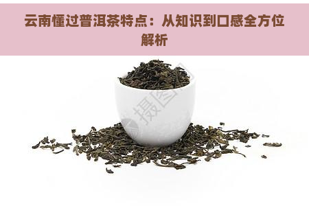 云南懂过普洱茶特点：从知识到口感全方位解析