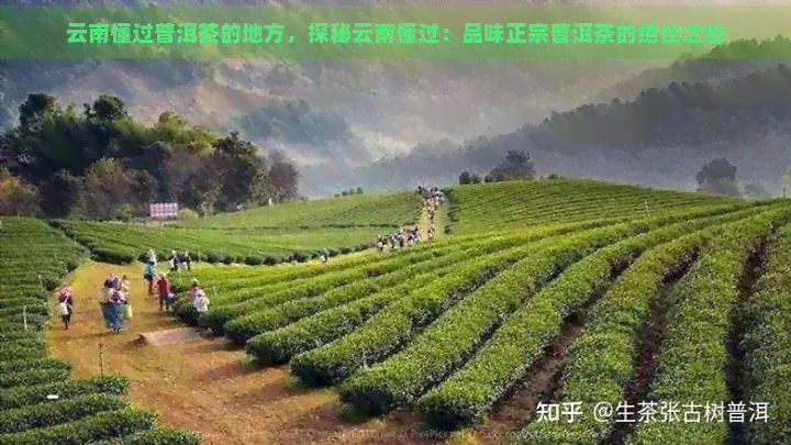 云南懂过普洱茶的地方，探秘云南懂过：品味正宗普洱茶的绝佳之地