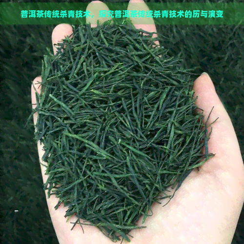 普洱茶传统杀青技术，探究普洱茶传统杀青技术的历与演变